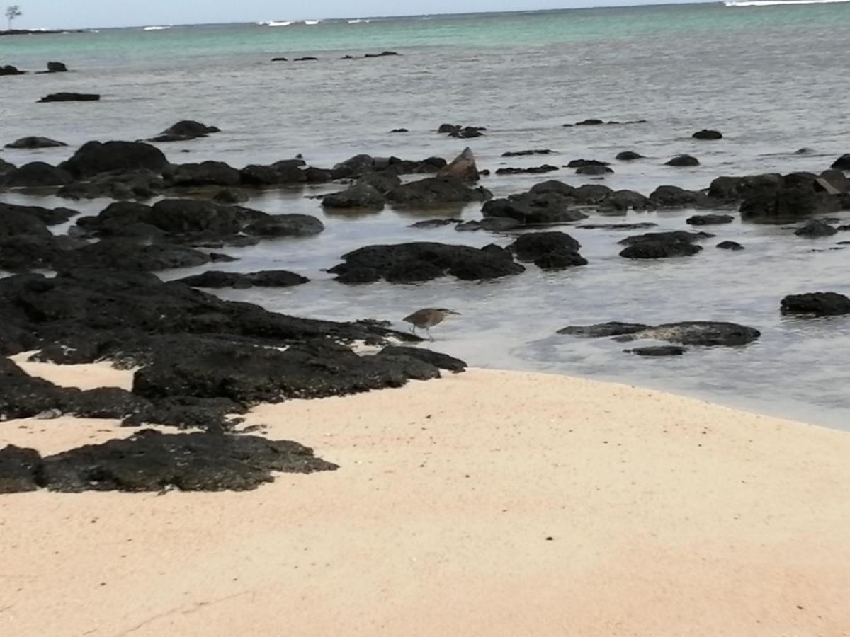 Les Filaos De Pereybere Apartment Pereybere Beach Luaran gambar